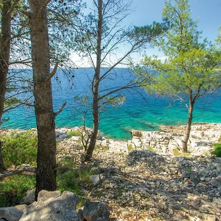 Awesome In With House Sea View Vikendica Vela Luka