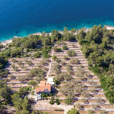 Dom wakacyjny Awesome In With House Sea View Vela Luka