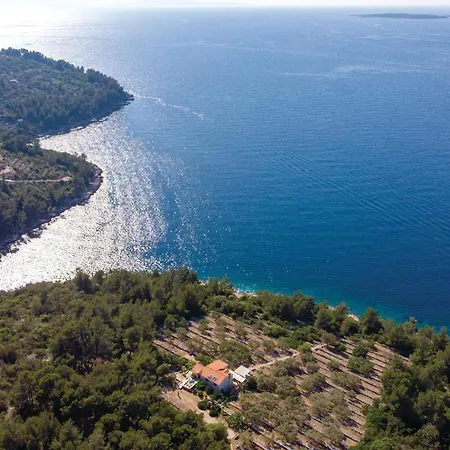 Awesome In With House Sea View Vikendica Vela Luka